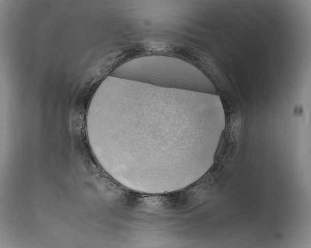 X0000111030417200907231625