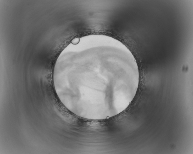 X0000111030419200907231625