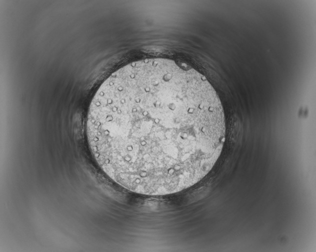 X0000111030420200907231625