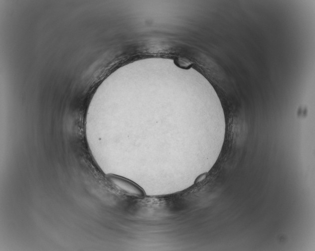 X0000111030421200907231625