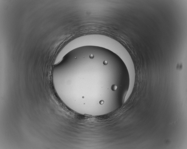 X0000111030423200907231625