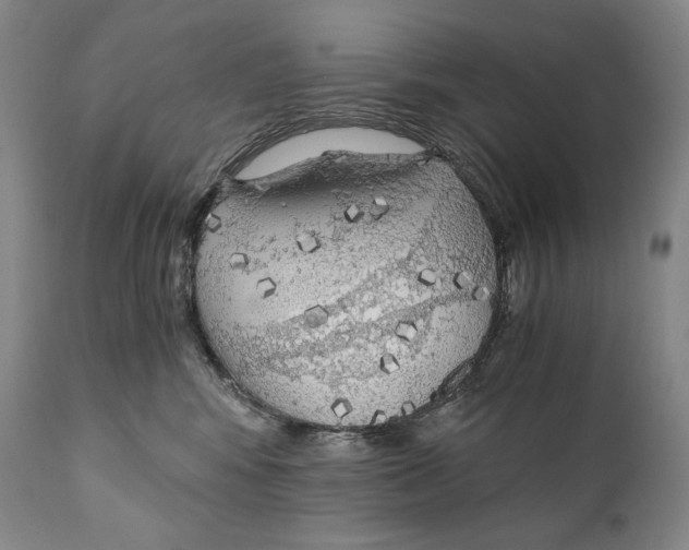 X0000111030424200907231625