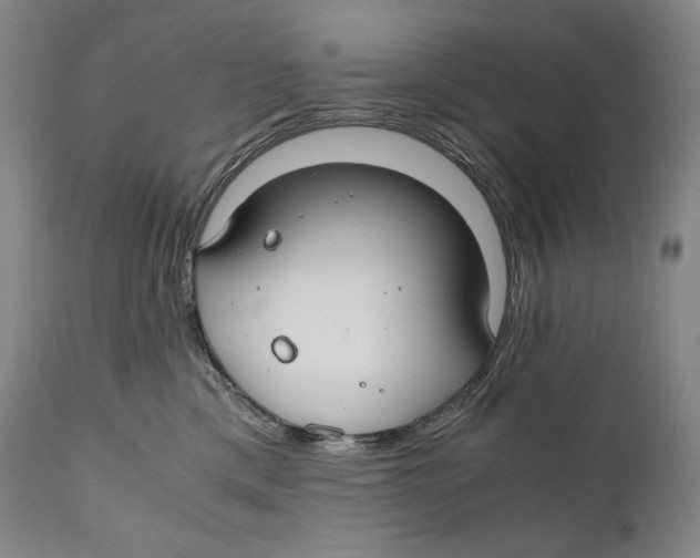 X0000111030425200907231625