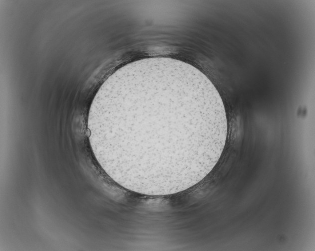 X0000111030426200907231625