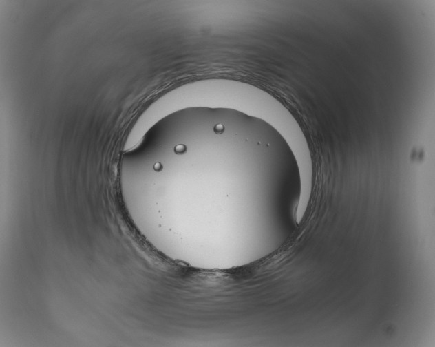 X0000111030427200907231625