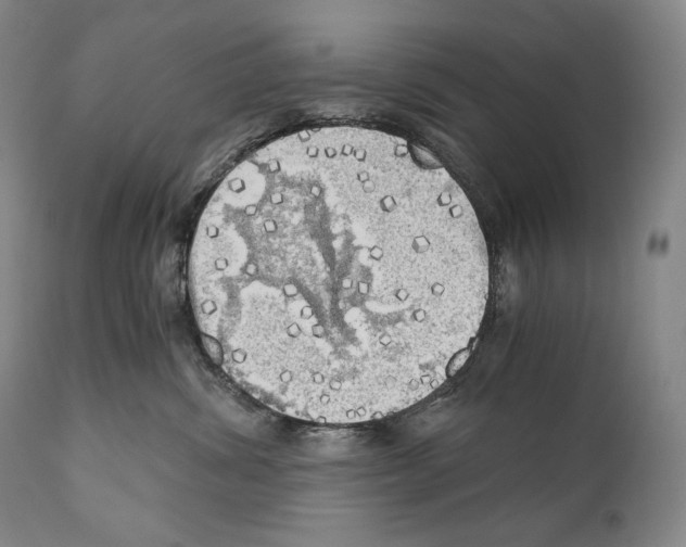 X0000111030428200907231625