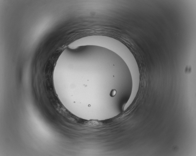 X0000111030429200907231625