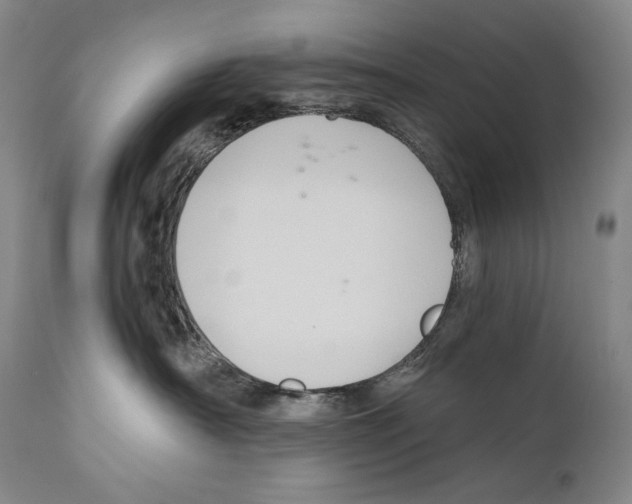 X0000111030430200907231625