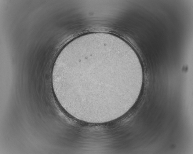 X0000111030433200907231624