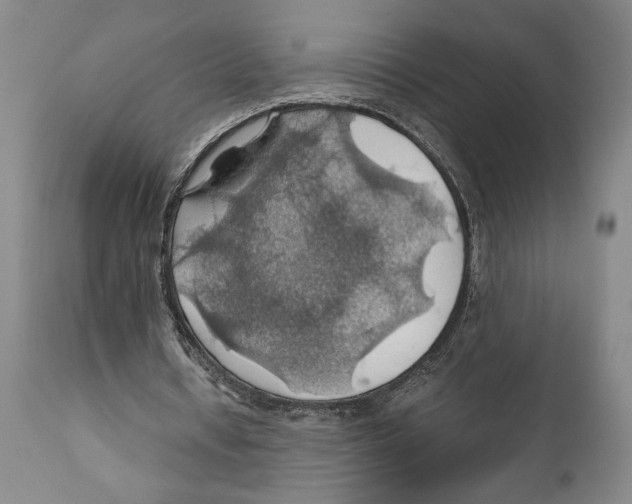 X0000111030434200907231625