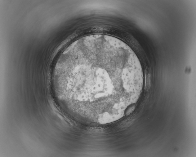 X0000111030435200907231625