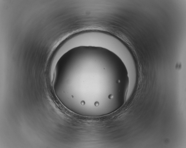 X0000111030436200907231625