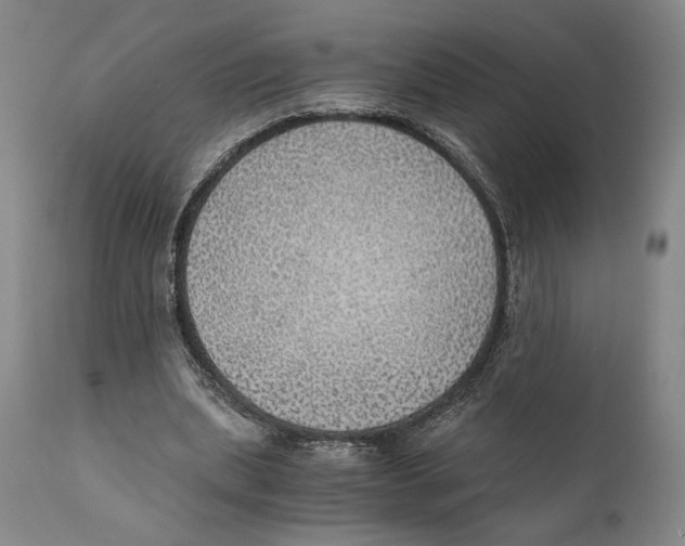 X0000111030439200907231625