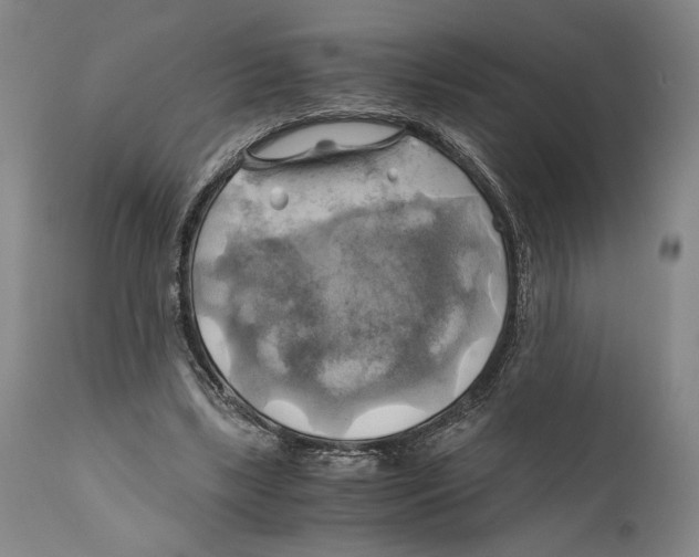 X0000111030443200907231625