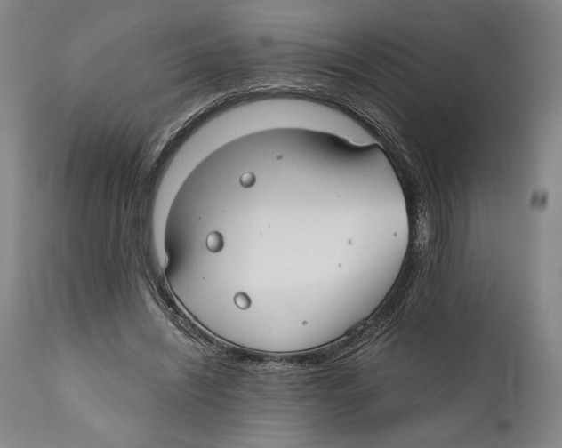 X0000111030444200907231625