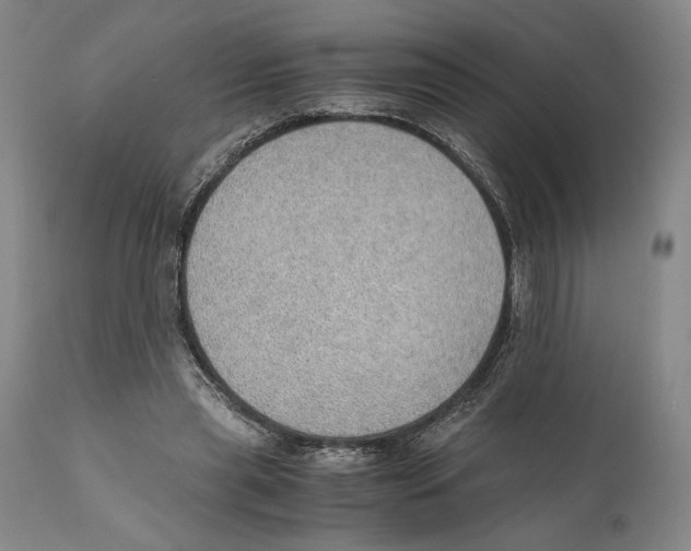 X0000111030445200907231625