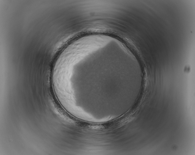 X0000111030446200907231625