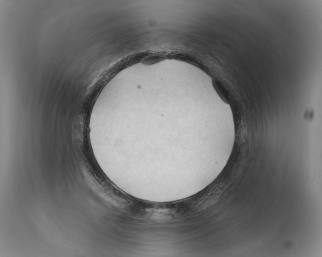 X0000111030448200907231625