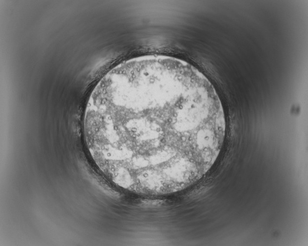 X0000111030450200907231625