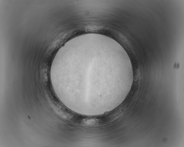 X0000111030452200907231625