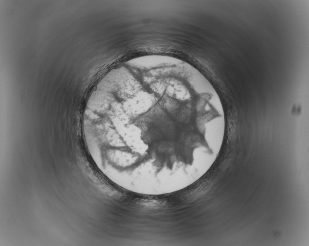 X0000111030453200907231625