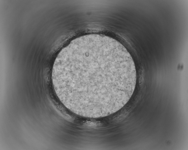 X0000111030455200907231625