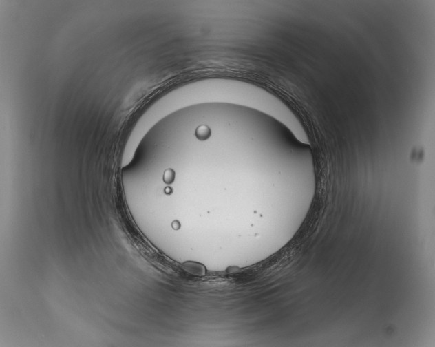 X0000111030456200907231625