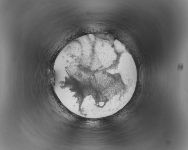 X0000111030457200907231625