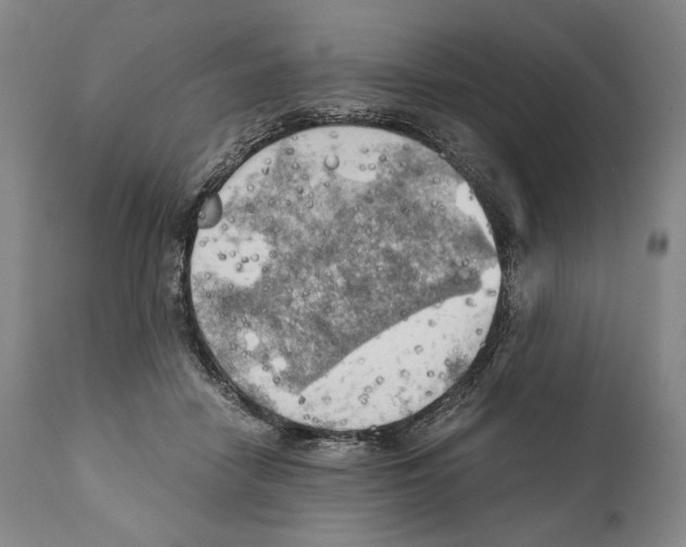 X0000111030458200907231625