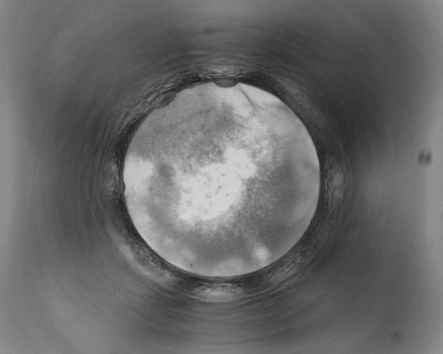 X0000111030459200907231625