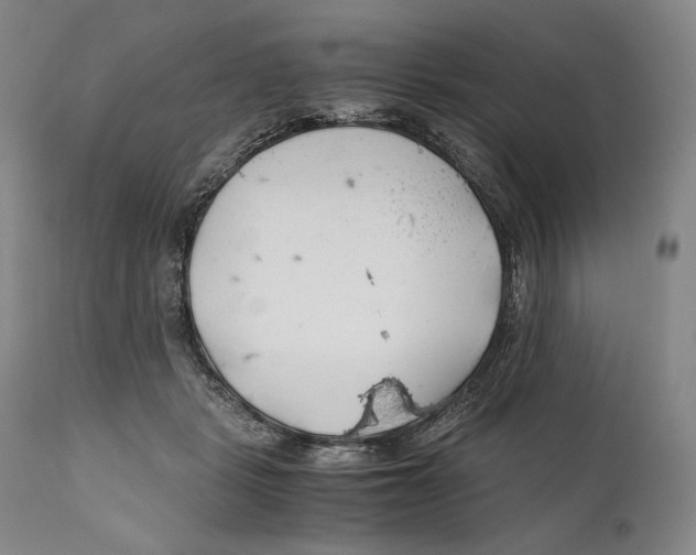 X0000111030461200907231625