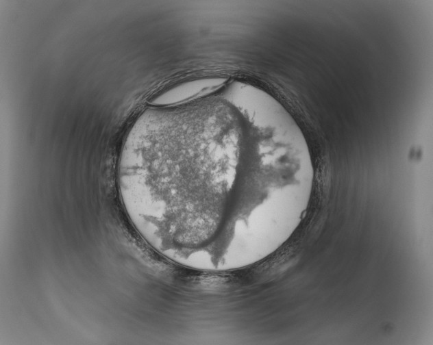 X0000111030462200907231625