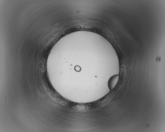 X0000111030464200907231625