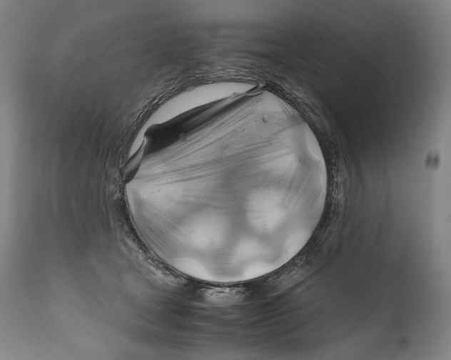 X0000111030465200907231625