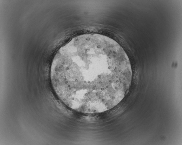 X0000111030466200907231625
