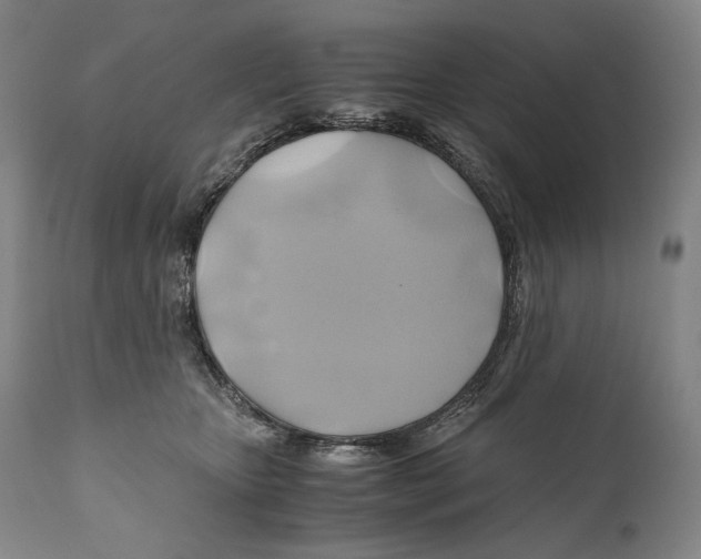 X0000111030467200907231625