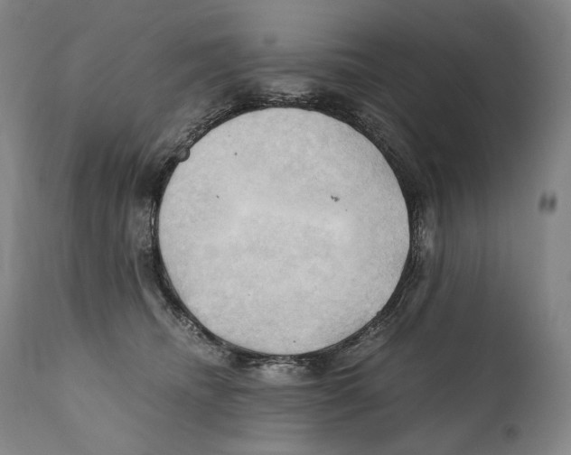 X0000111030468200907231625