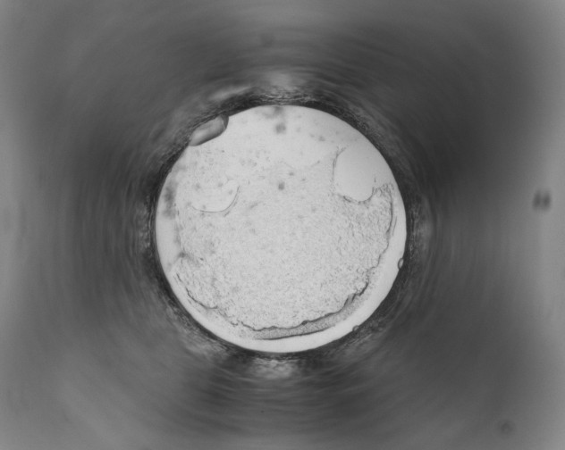 X0000111030469200907231625