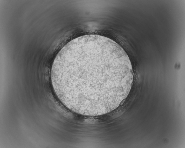 X0000111030470200907231625