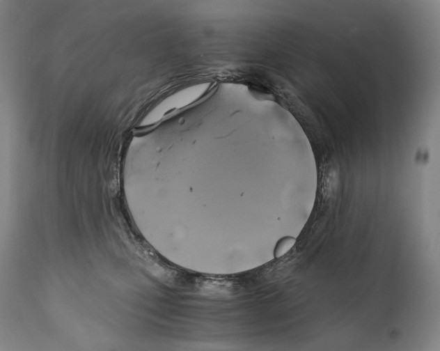 X0000111030471200907231625