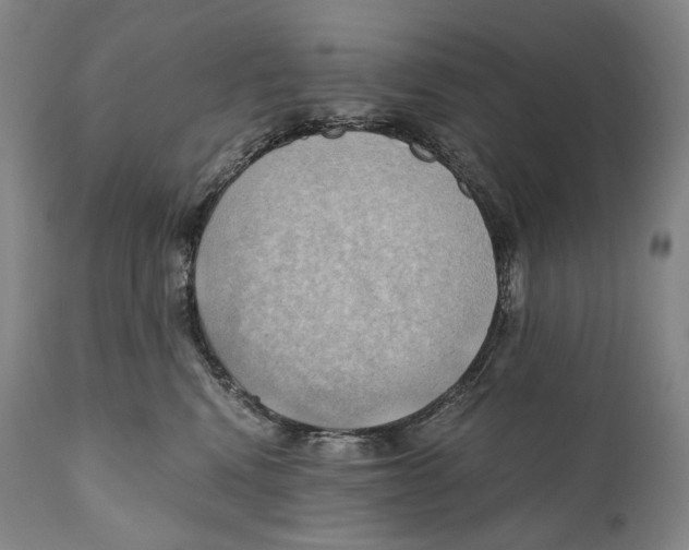 X0000111030472200907231625