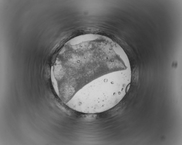 X0000111030474200907231625