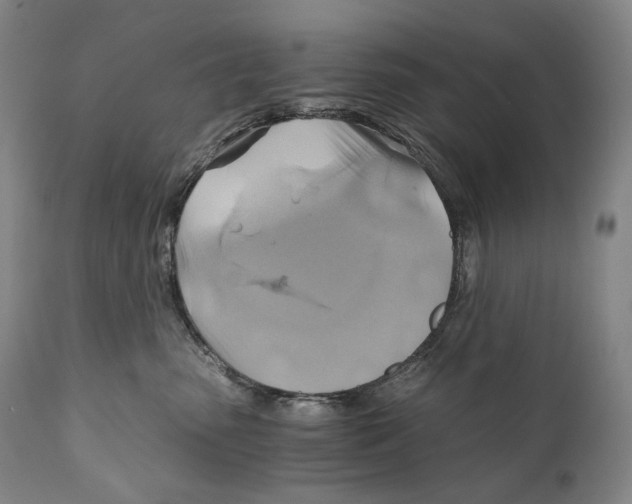 X0000111030475200907231625