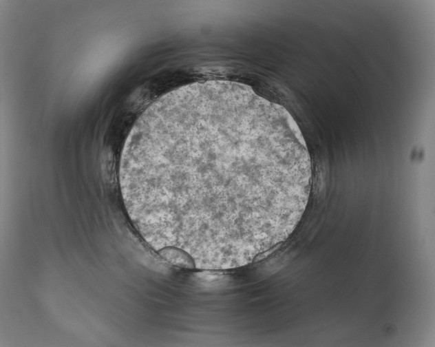 X0000111030477200907231625