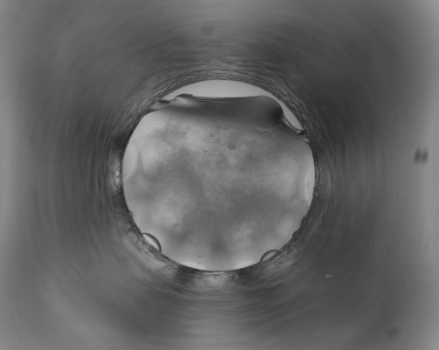 X0000111030479200907231625