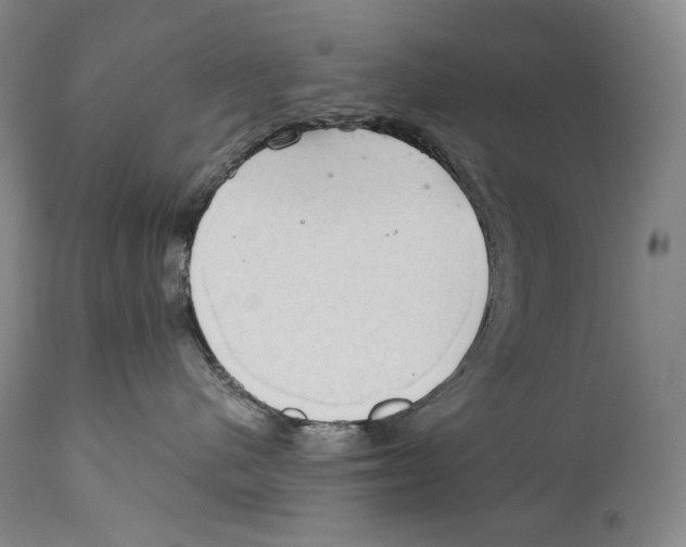 X0000111030480200907231625