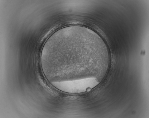 X0000111030482200907231624