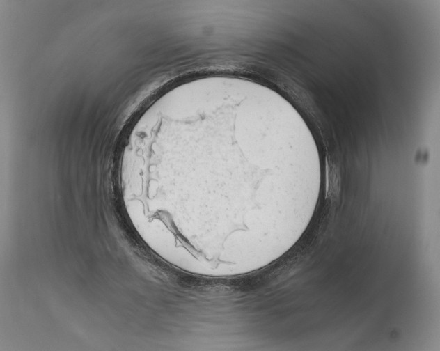 X0000111030483200907231624