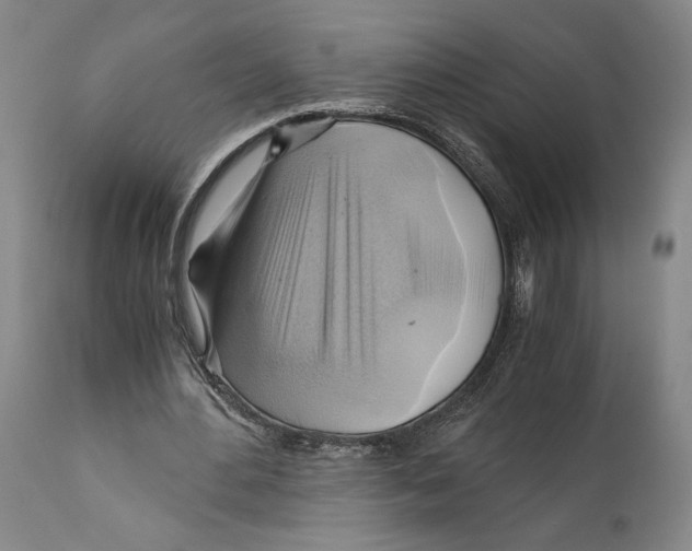 X0000111030484200907231624