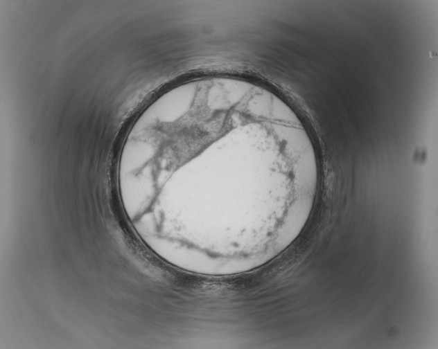 X0000111030487200907231624